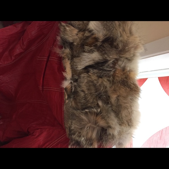 NWT Red 100% Leather Coyote Waterproof Coat Europe - Picture 5 of 7